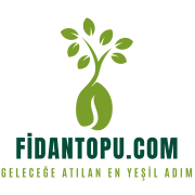 2ba584ed-2564-47ef-9b38-618e03e367f6