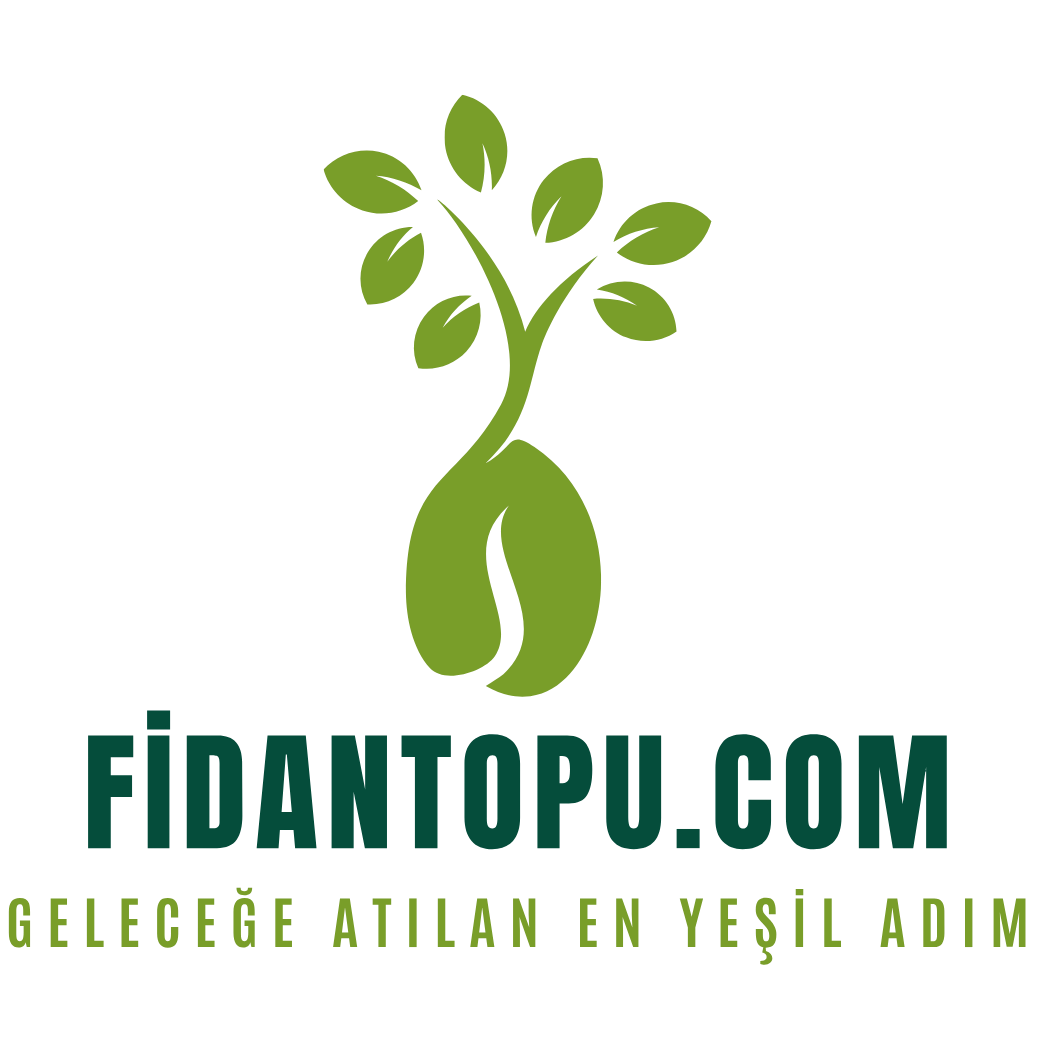 Fidan Topu-Geleceğe Atılan En yeşil Adım