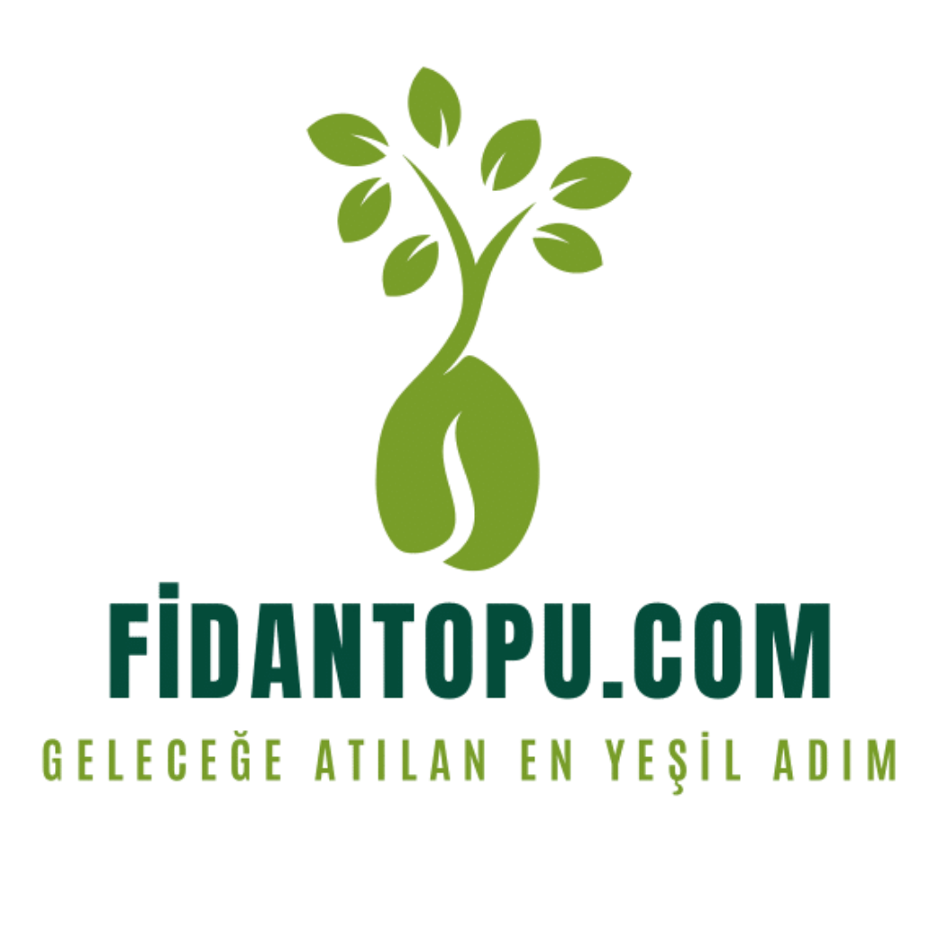 Fidan Topu-Geleceğe Atılan En yeşil Adım